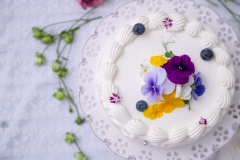日本菓子専門学校